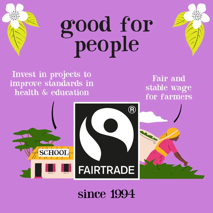 Clipper Sleep Easy Organic Bio – Herbata ziołowa na sen (20 torebek) 4 51ef3ac1cd4fba498e6c0b5db241997f